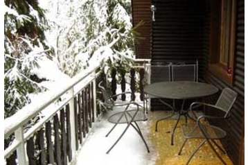 Chalet Tvarožná Lhota 6